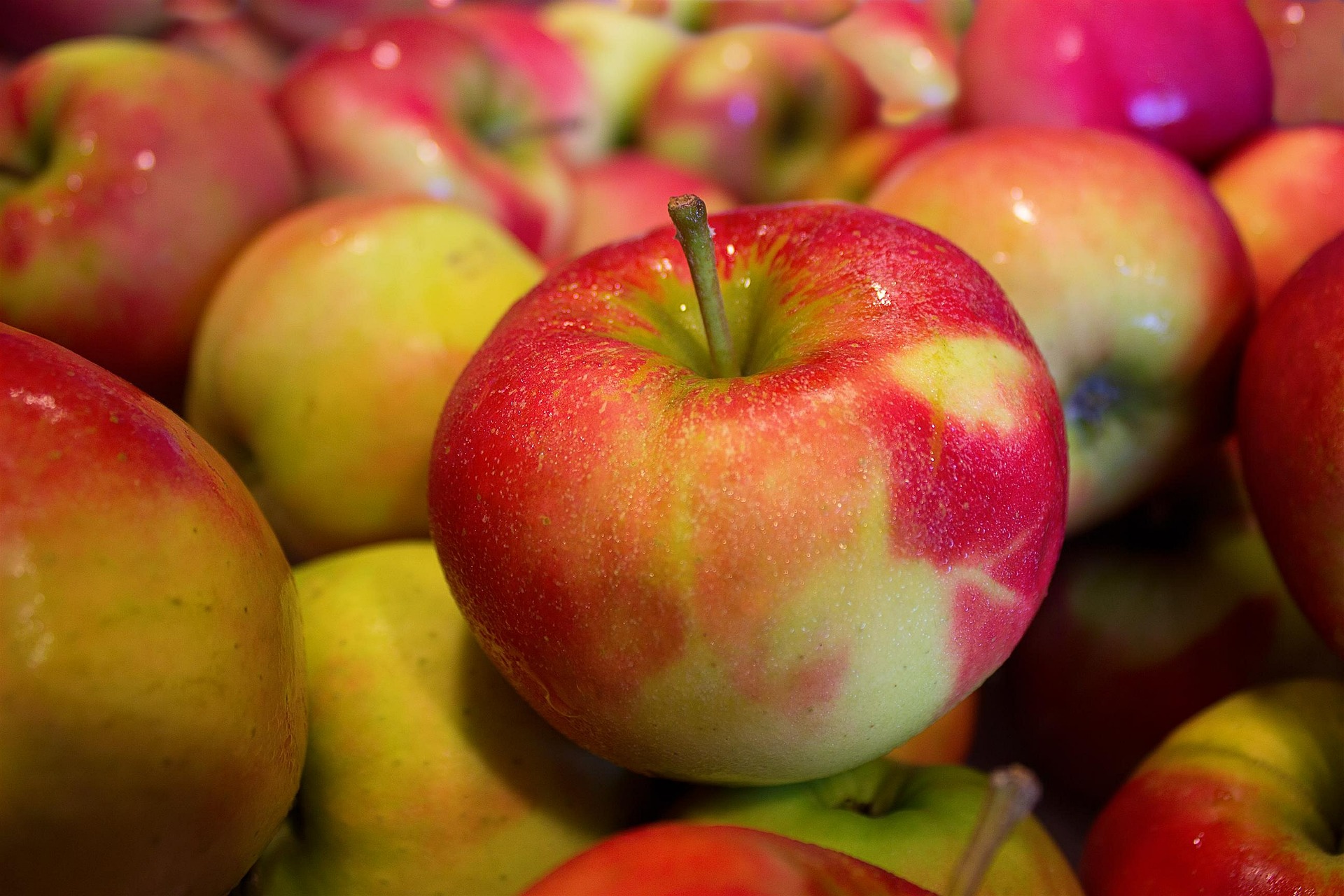 Україна встановила новий історичний рекорд експорту яблук
